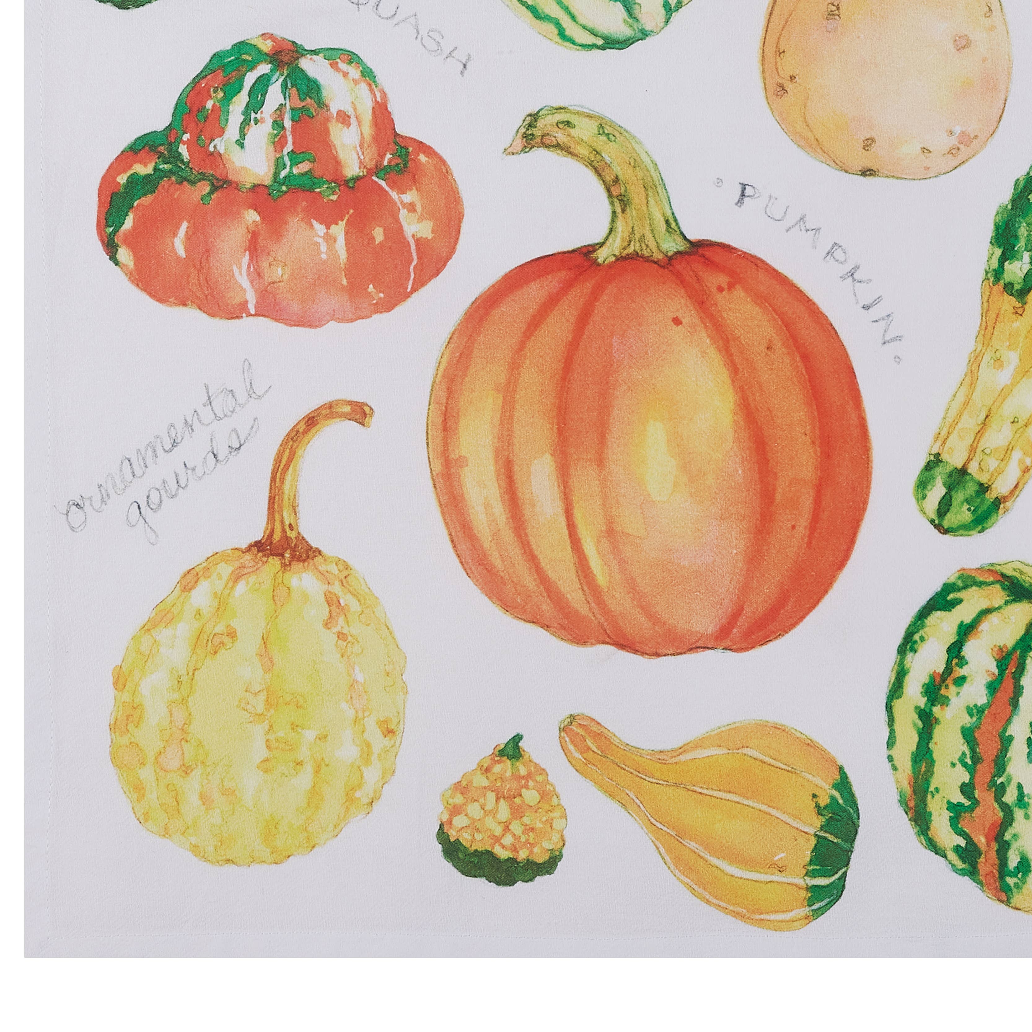 Field Guide Gourds Kitchen Towel - Sally Eckman Roberts