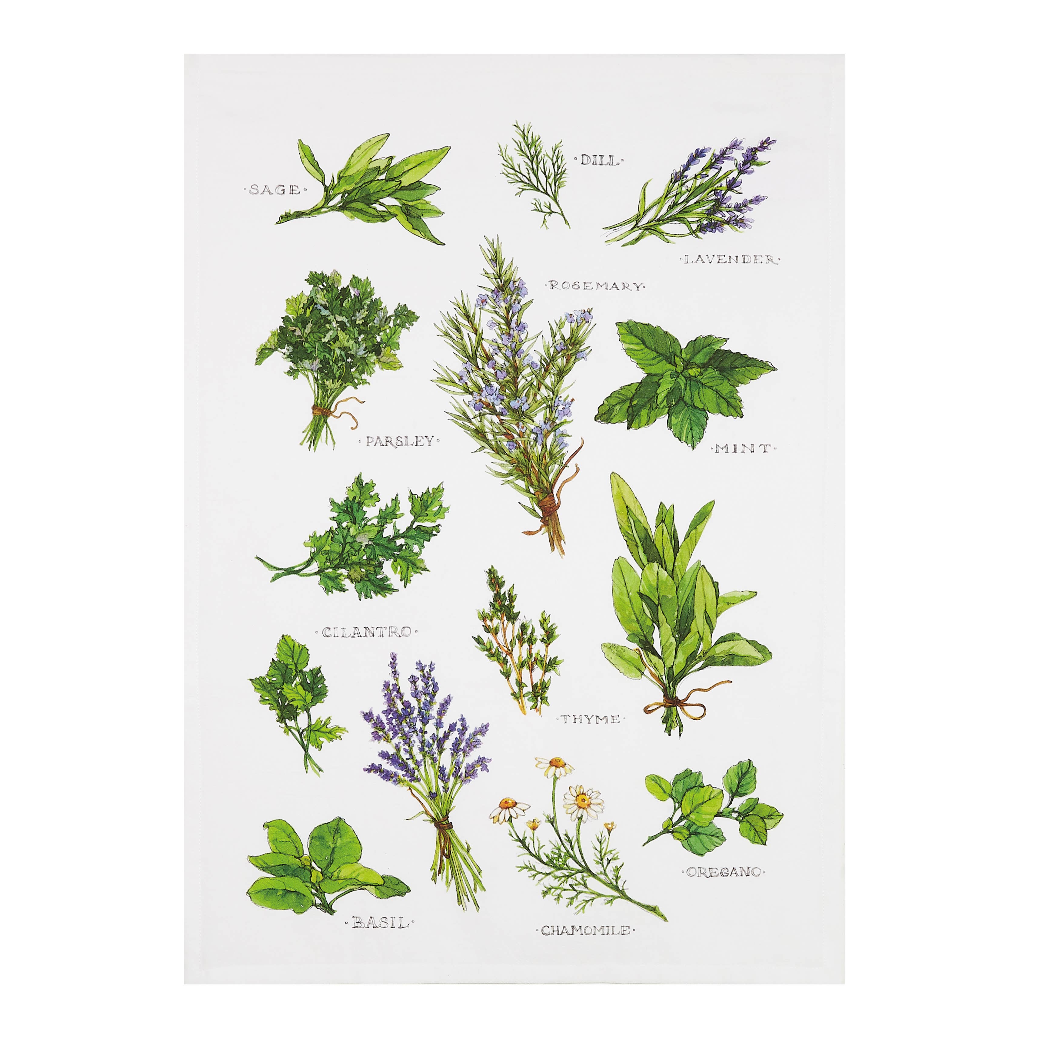 Field Guide Herbs Printed Kitchen Towel - Sally Eckman Roberts
