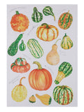 Field Guide Gourds Kitchen Towel - Sally Eckman Roberts