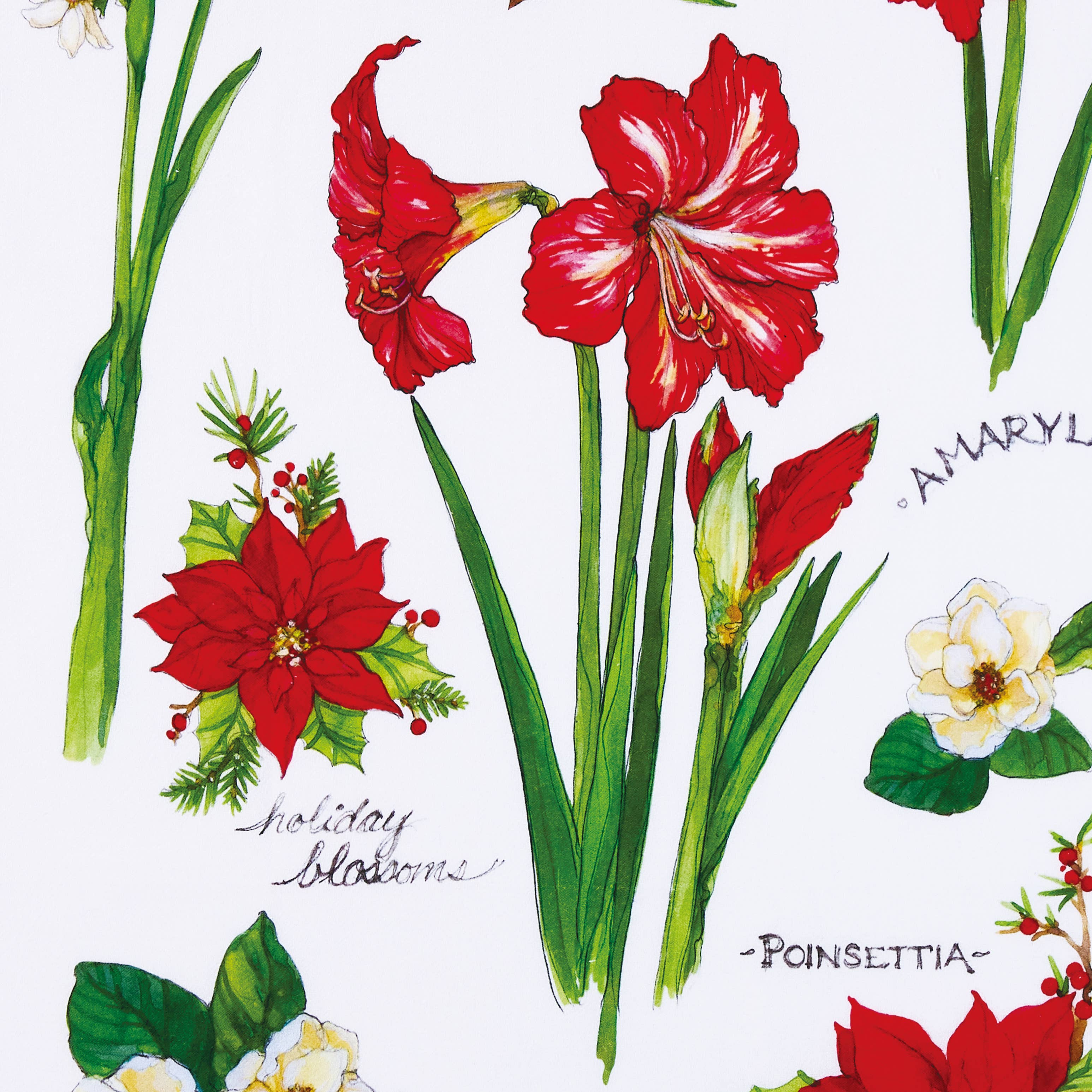 Field Guide Holiday Blossoms Kitchen Towel - Sally Eckman Roberts